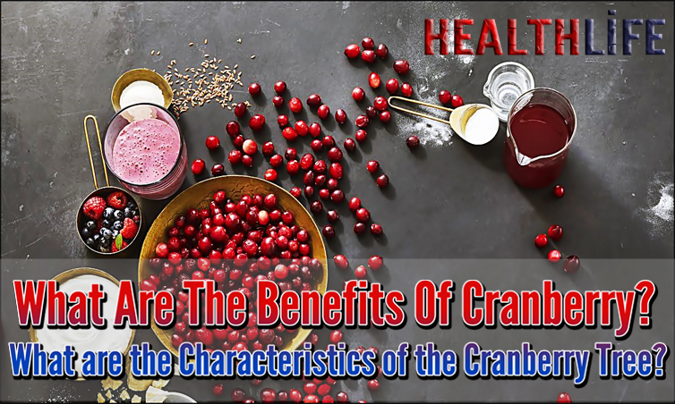 What Are The Benefits Of Cranberry