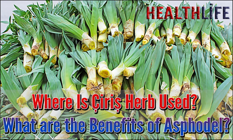 Where Is Çiriş Herb Used