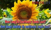 How Long Do Sunflower Seeds Last
