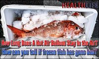 How Long Does Frozen Fish Last