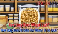 How Long Does Wheat Last