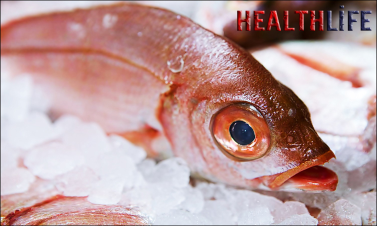 How Long Can You Freeze Bluefish