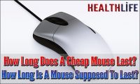 How Long Does A Cheap Mouse Last