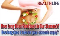 How Long Does Food Last In Our Stomach