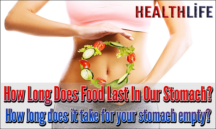 How Long Does Food Last In Our Stomach
