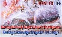 How Long Does Freshly Caught Fish Last In The Refrigerator