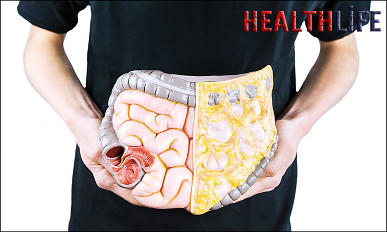 How Long Does It Take For Your Stomach Empty