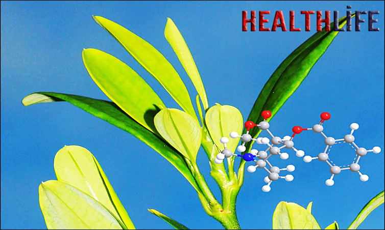 What Are The Benefits Of Coca Leaves