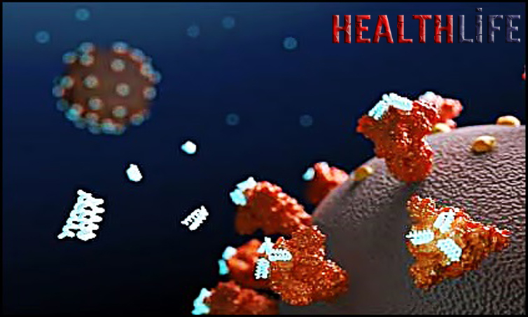 How Long Does The COVID Vaccine Last In Your Body