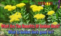 What Are The Benefits Of Golden Herb