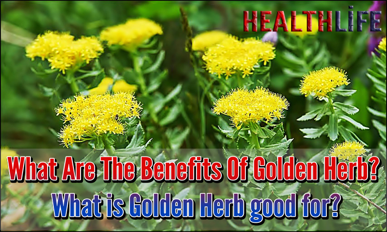What Are The Benefits Of Golden Herb