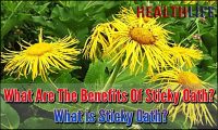 What Are The Benefits Of Sticky Oath