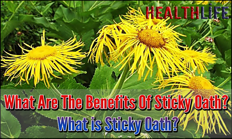 What Are The Benefits Of Sticky Oath