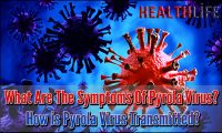 What Are The Symptoms Of Pyrola Virus