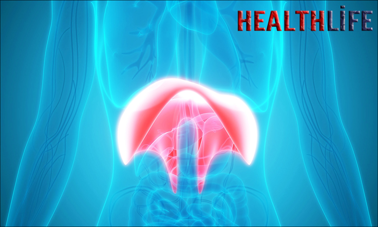 How To Fix An Elevated Diaphragm