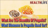 What Are The Benefits Of Propolis