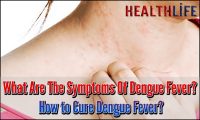 What Are The Symptoms Of Dengue Fever