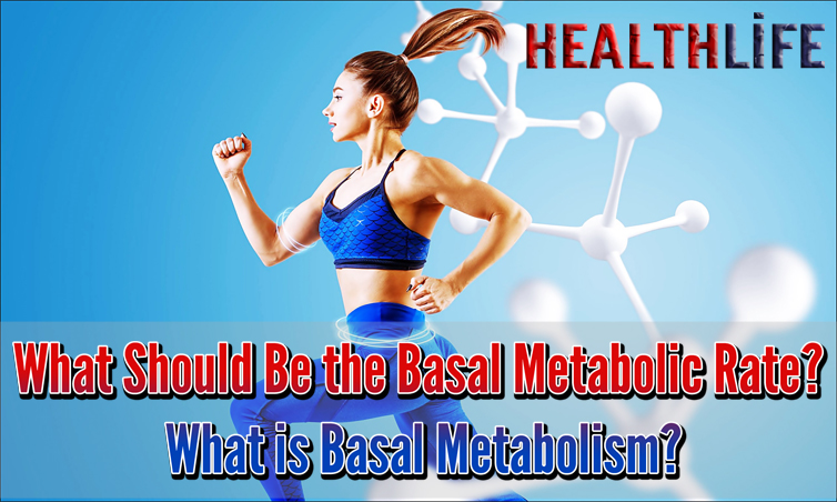 What Should Basal Metabolic Rate Be