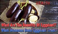 What Are The Benefits Of Eggplant