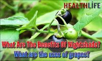 What Are The Benefits Of Nightshade