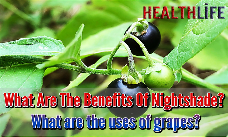 What Are The Benefits Of Nightshade
