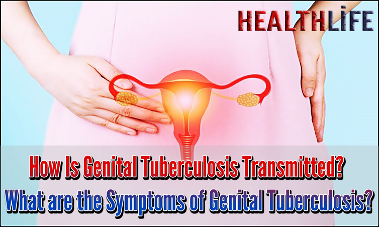 How Is Genital Tuberculosis Transmitted
