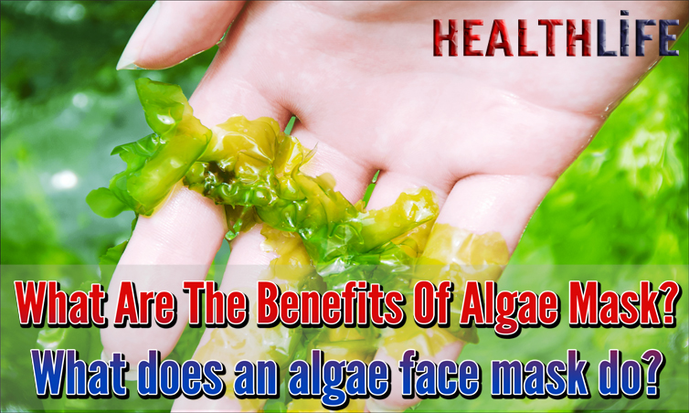 What Are The Benefits Of Algae Mask