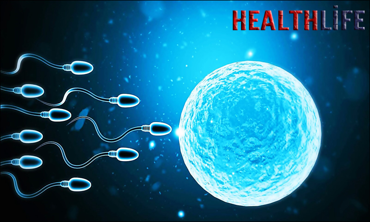 What Was The Main Cause Of Oligospermia