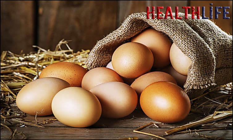 Is It Good To Eat Egg Everyday