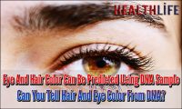 Eye And Hair Color Can Be Predicted Using DNA Sample