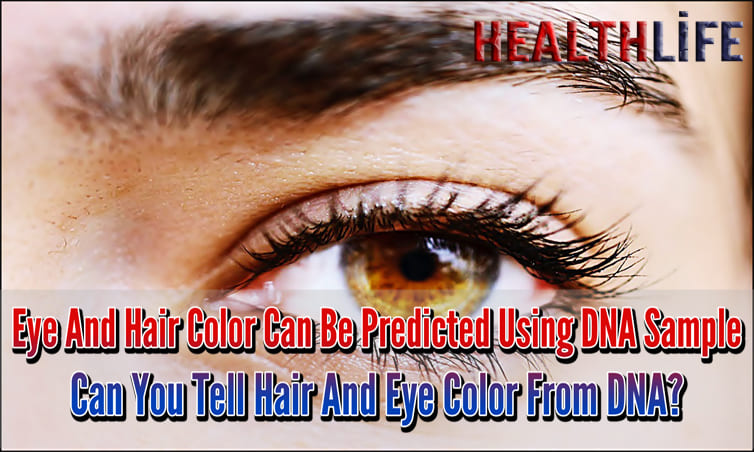 Eye And Hair Color Can Be Predicted Using DNA Sample