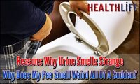 Reasons Why Urine Smells Strange