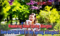 Wondering About Spring Allergies