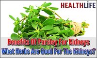 Benefits Of Parsley For Kidneys