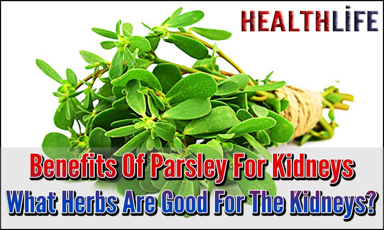 Benefits Of Parsley For Kidneys