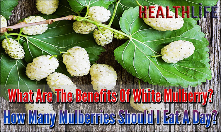 What Are The Benefits Of White Mulberry