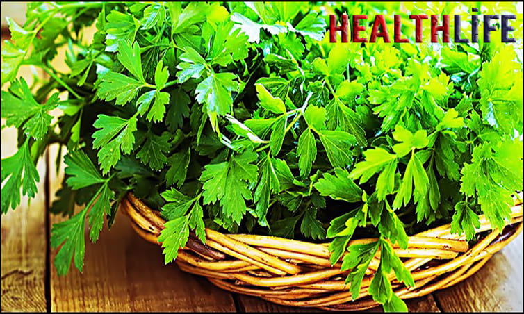 What Herbs Are Good For The Kidneys