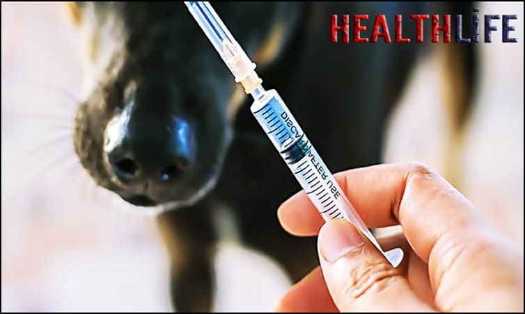 Does a Rabies Vaccine Last A Lifetime