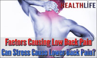 Factors Causing Low Back Pain
