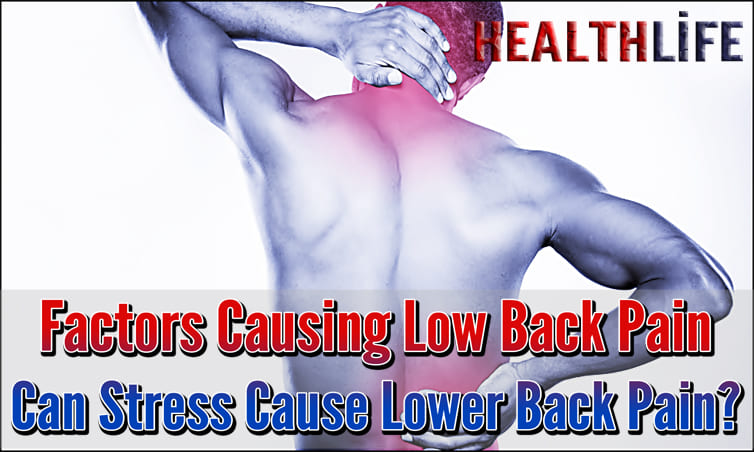 Factors Causing Low Back Pain