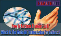 How Is Anthrax Transmitted