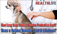 How Long Does Rabies Vaccine Protection Last