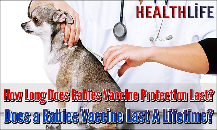 How Long Does Rabies Vaccine Protection Last