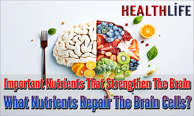 Important Nutrients That Strengthen The Brain