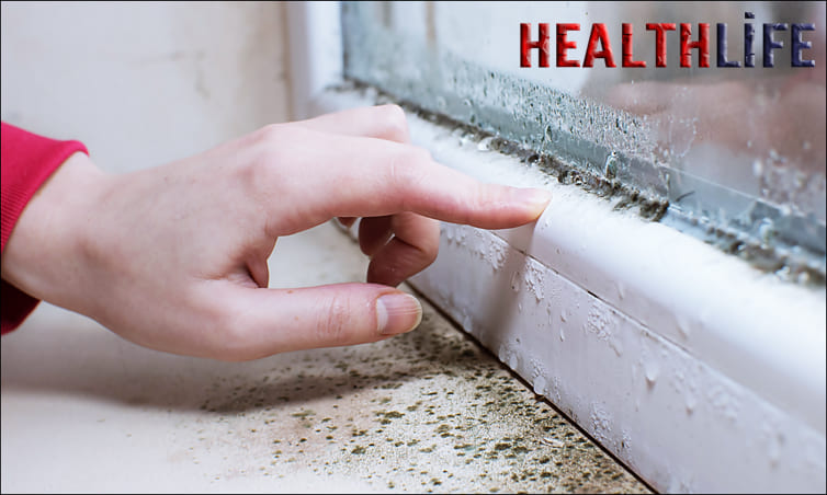 What Are Some Ways You Can Reduce Moisture Levels In Food