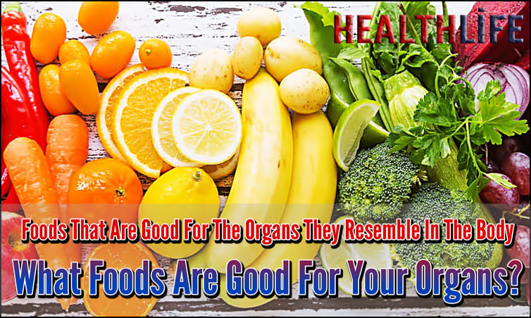Foods That Are Good For The Organs They Resemble In The Body