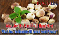 What Are The Benefits Of Hambeles