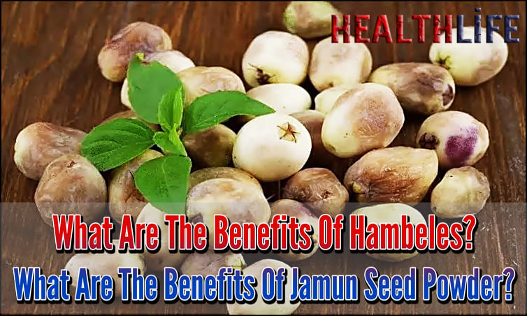 What Are The Benefits Of Hambeles