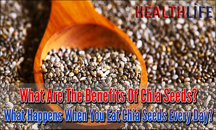 What Are The Benefits Of Chia Seeds