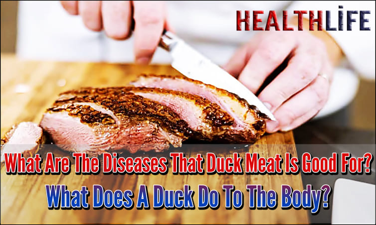 What Are The Diseases That Duck Meat Is Good For
